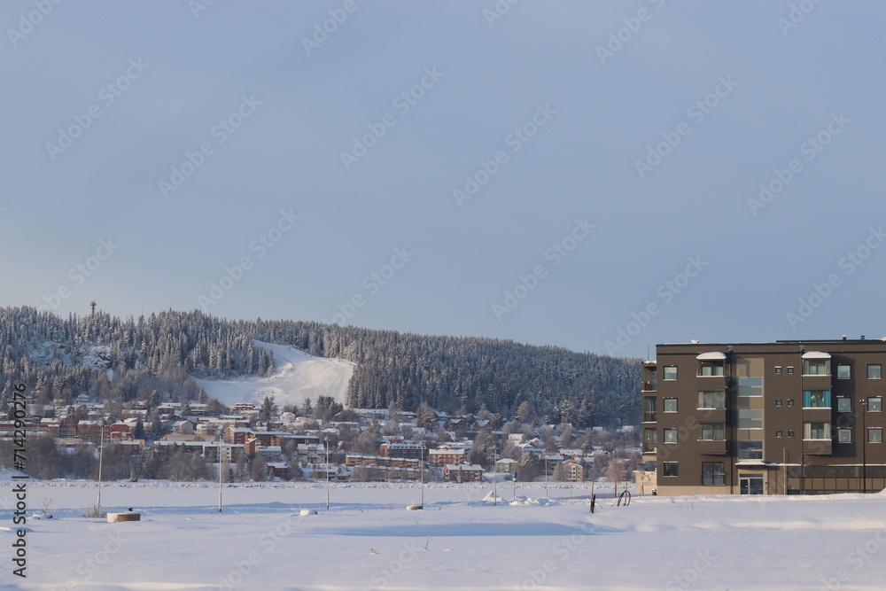 Fototapeta premium winter landscape in the city