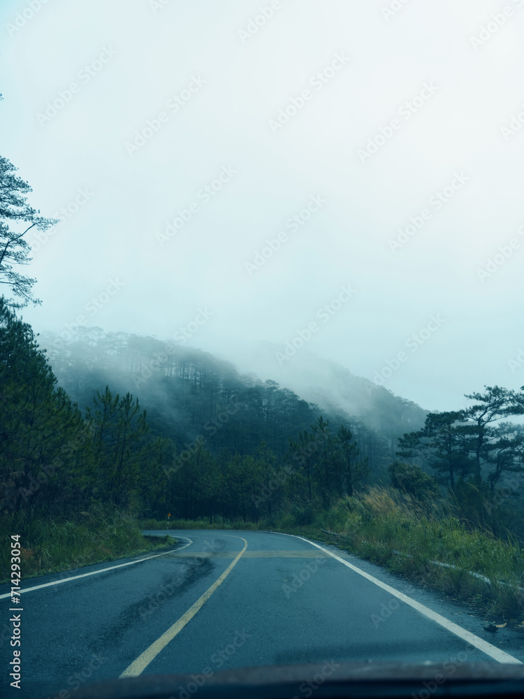 Enchanting Road Trip: Serene Autumn Drive through Misty Forests and Majestic Mountains