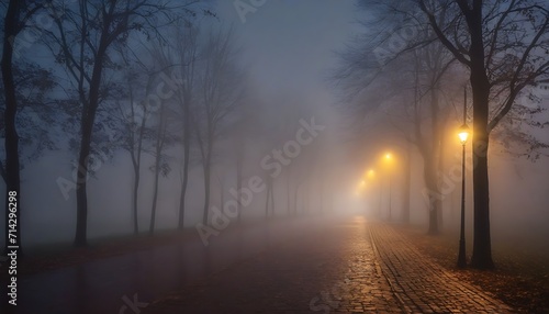 Landscape with street lights in the night autumn fog  fabulous picture silence mystery mist