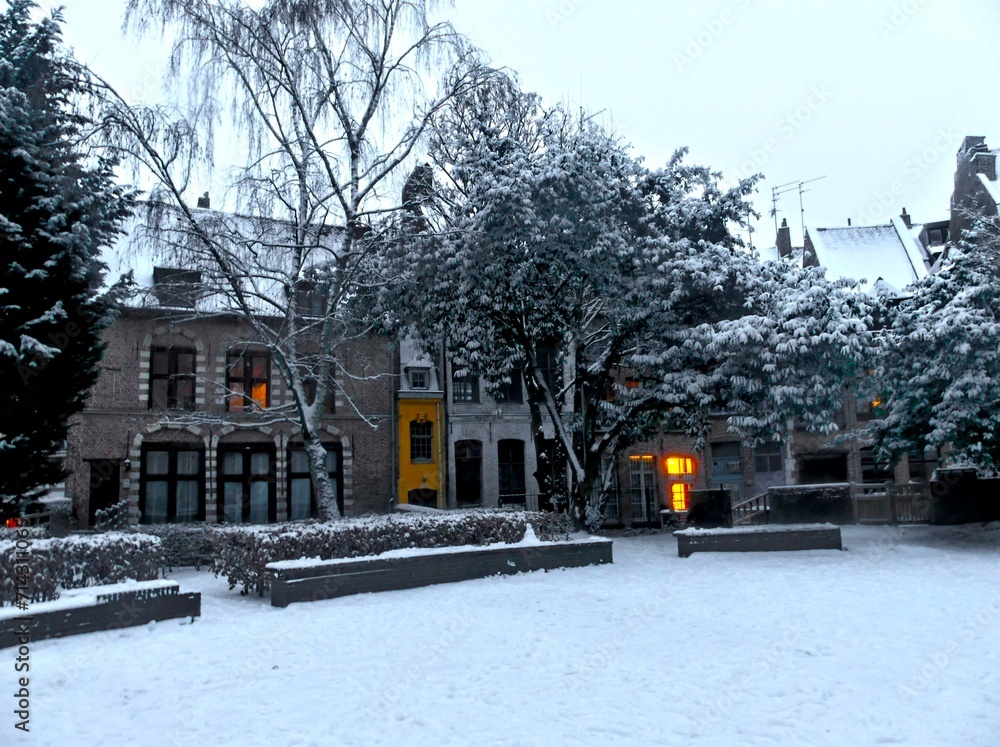 Lille, January 2024 Discover Lille, the capital of Flanders, under the