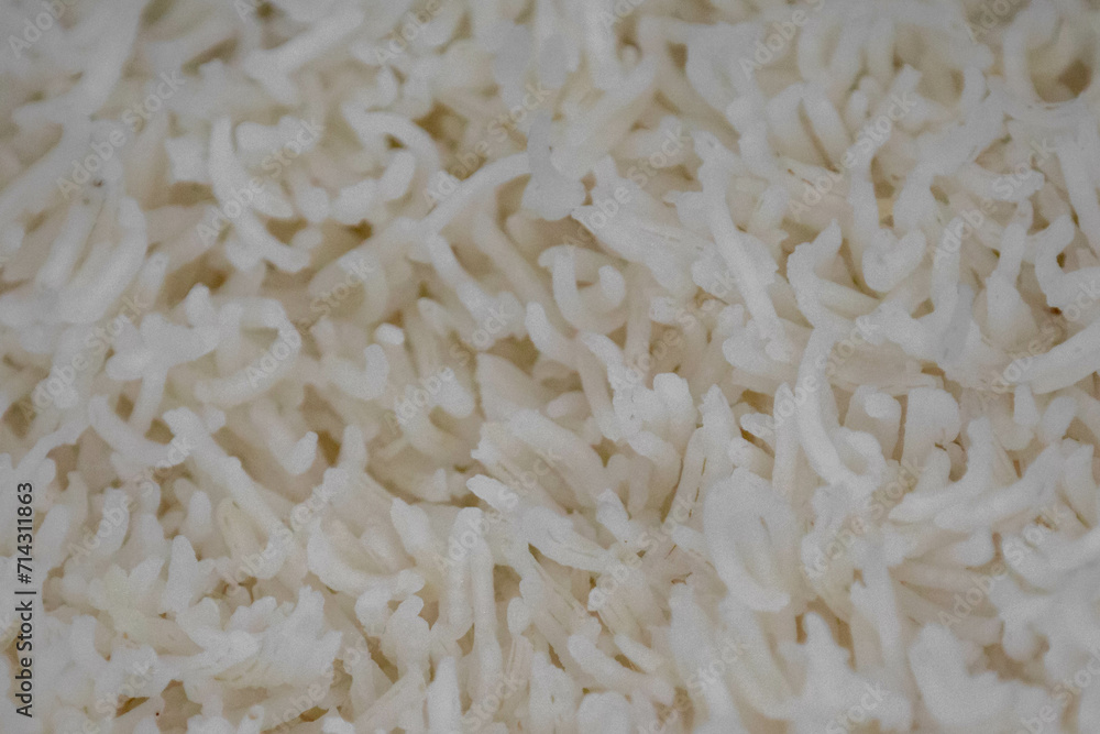 Cooked plain white basmati rice in selective focus. Species of Indian origin Cooked plain white basmati rice in selective focus. Species of Indian origin