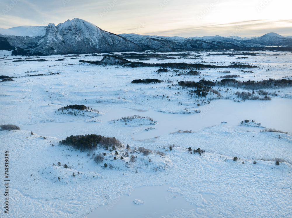 The peatland in Gule-/Stavikmyrane nature reserve in winter ( More og Romsdal, Norway).