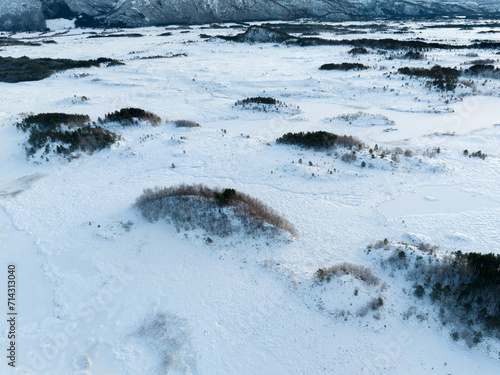 Obraz na płótnie The peatland in Gule-/Stavikmyrane nature reserve in winter ( More og Romsdal, Norway). w salonie