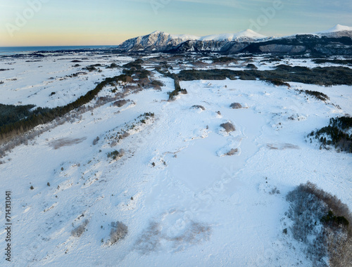 Obraz na płótnie The peatland in Gule-/Stavikmyrane nature reserve in winter ( More og Romsdal, Norway). w salonie