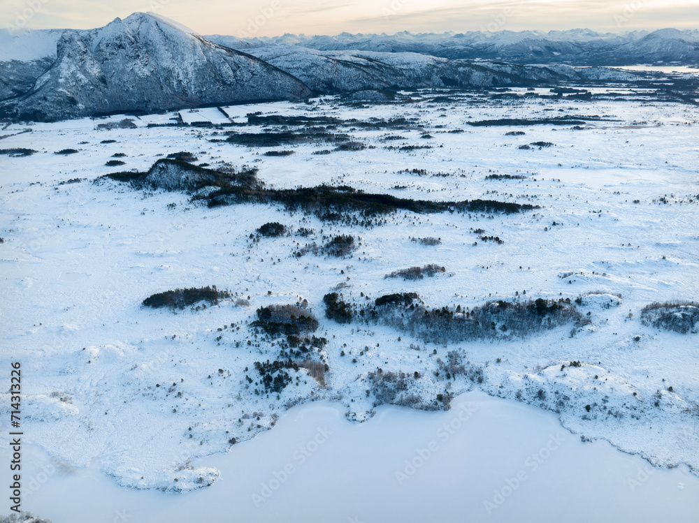 The peatland in Gule-/Stavikmyrane nature reserve in winter ( More og Romsdal, Norway).
