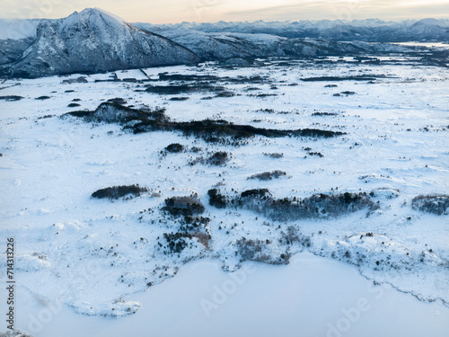 Obraz na płótnie The peatland in Gule-/Stavikmyrane nature reserve in winter ( More og Romsdal, Norway). w salonie