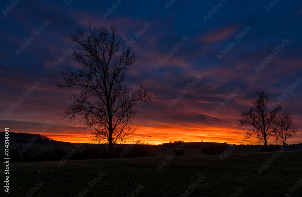 colorful evening sky with winter trees
