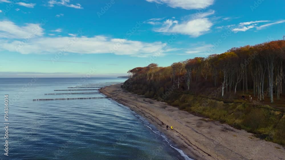 The ghostly forest Nienhagen on rocky coast of the Baltic Sea, Germany. High quality 4k footage The ghostly forest Nienhagen on rocky coast of the Baltic Sea, Germany. High quality 4k footage