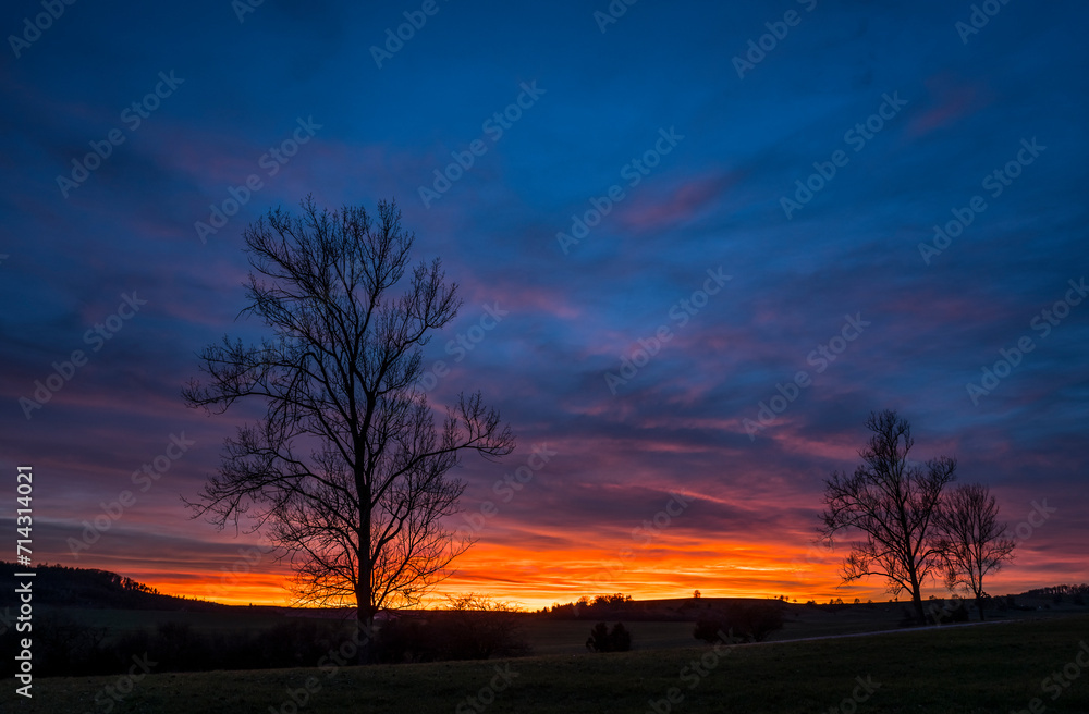 colorful evening sky with winter trees