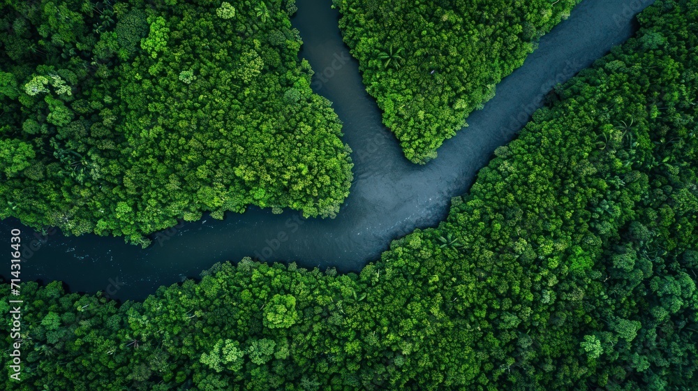an aerial view of a river in the middle of a green forest with a river ...