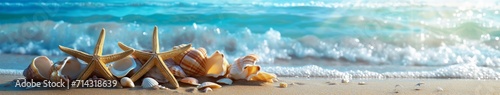 Whispering Shells: A Serene Seaside Symphony