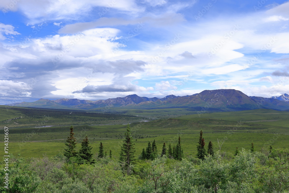 Fototapeta premium Denali National Park, Alaska, USA,