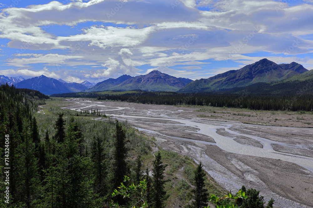 Teklanika River, Denali National Park, Alaska, USA,