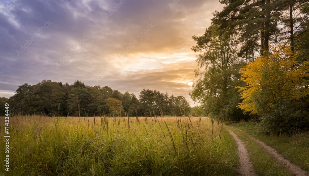 Fototapeta premium art autumn sunny nature background