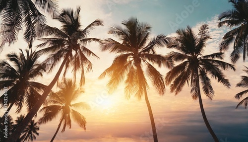 tropical palm coconut trees on sunset sky flare and bokeh nature background