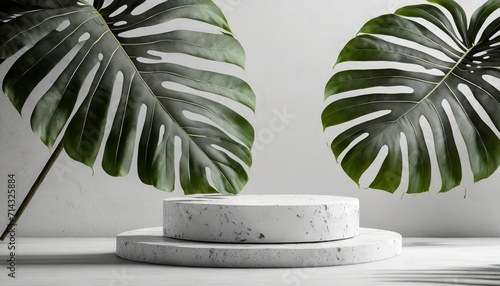 white stone podium cosmetic display product stand with monstera leaf on white background 3d rendering