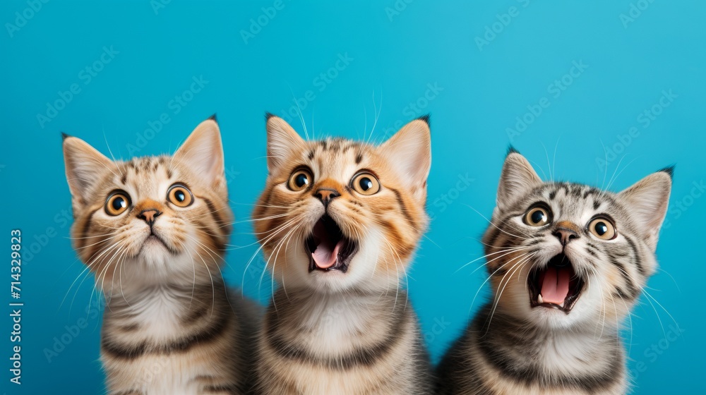Group of Surprised Cats on Blue Background AI Generated