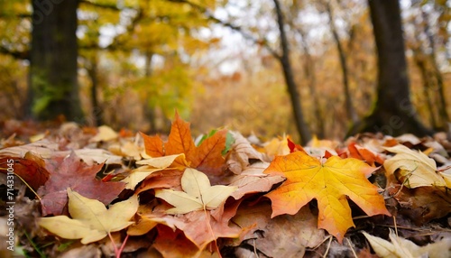 autumn forest maple leaves fall on ground background wallpaper generative ai