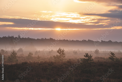 Orange morning sun illuminates a sandy path and a landscape shrouded in mist through the Grenspark Kalmthoutse Heide near Antwerp in northwest Belgium