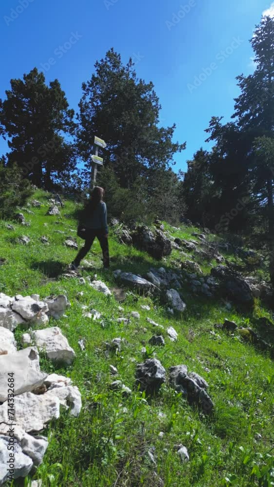 Right side view of a young female trekking on a hiking trail in a national park in slow motion. The sky is clear. Pine trees are all around. Right side view of a young female trekking on a hiking trail in a national park in slow motion. The sky is clear. Pine trees are all around.