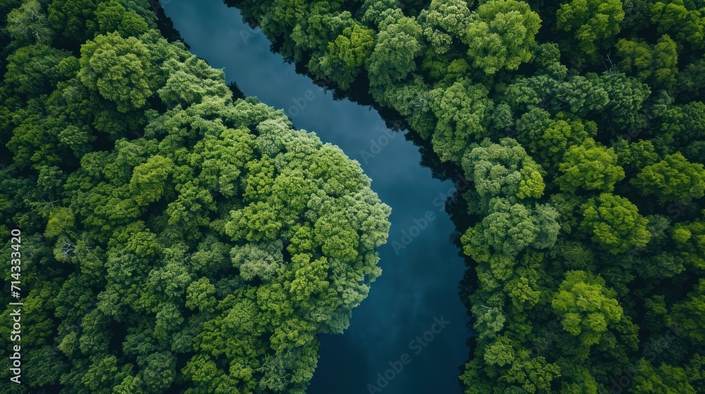  an aerial view of a river in the middle of a forest with lots of green trees on both sides of the river, looking down at the river from above.