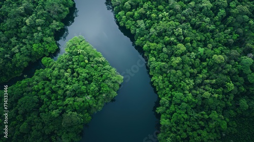  an aerial view of a river in the middle of a forest with lots of green trees on both sides of the river and the river running through the center of the trees.
