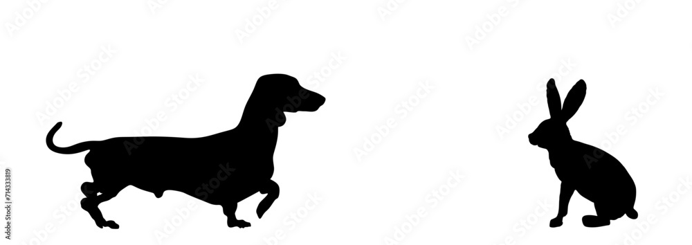 Dachshund dog hunter chasing prey rabbit vector silhouette illustration ...