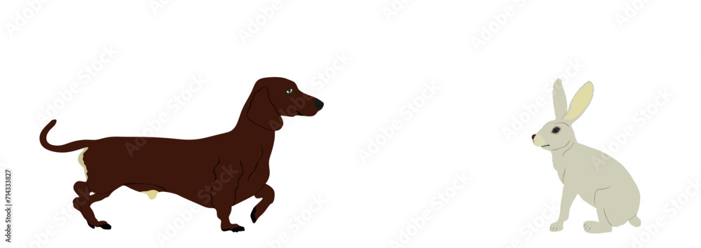 Dachshund dog hunter chasing prey rabbit vector illustration isolated ...