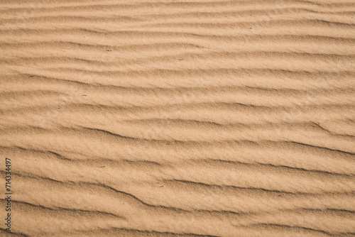 Texture of sand in the hot summer desert of Kyzylkum in Uzbekistan on a summer day