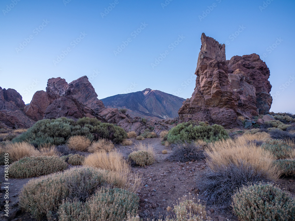 Landscape of Teide National Park