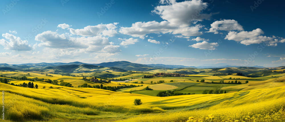 Obraz premium field of grass and perfect sky