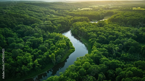  an aerial view of a river running through a lush green forest filled with lots of trees on both sides of the river, surrounded by a lush green forest covered with lots of trees.