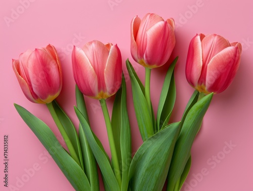 Beautiful Pink Tulips on Pastel Pink Background AI Generated
