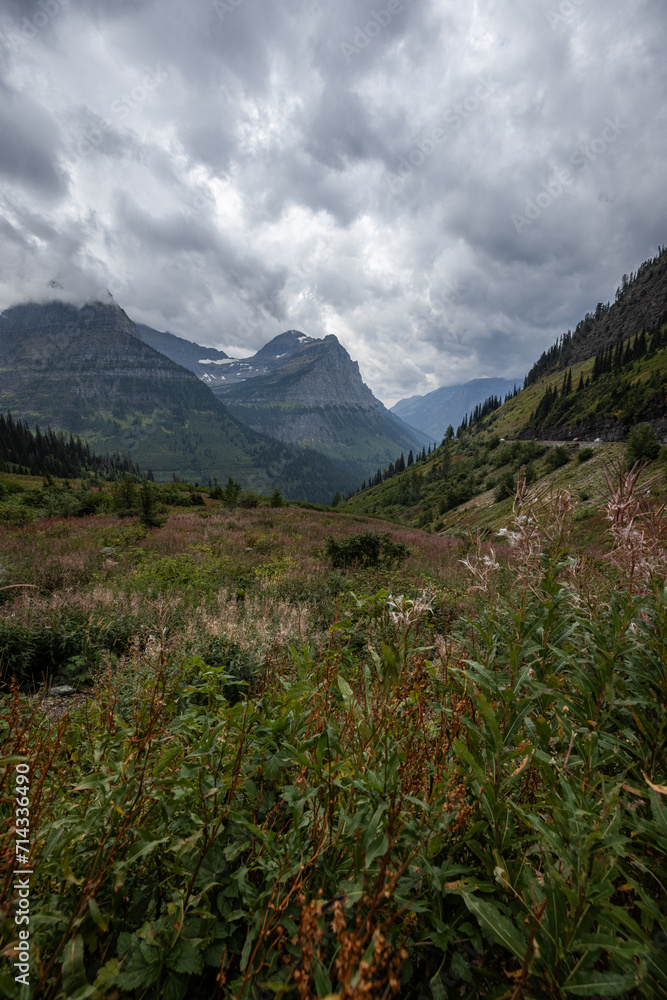 Fototapeta premium Beautiful Landscape in Glacier Montana