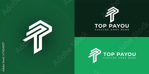 Abstract green initial letter TP or PT in white color presented with multiple background colors. The logo is suitable for a business and finance company logo design inspiration template