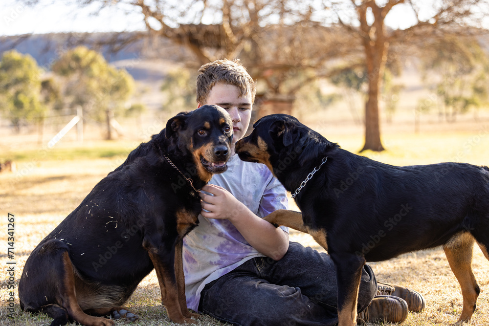 Teen boy sitting on grass with pet rottweiler dogs