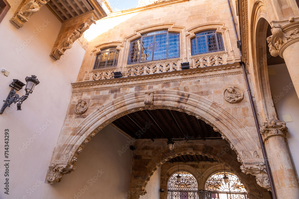 The Salina Palace is a building built in Plateresque style in Salamanca, Spain