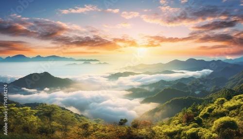 View of the sea of clouds from the top of the mountain peak. Tropical green forest, falling leaves with the vibrant morning reflection of the sunrise. © Virgo Studio Maple