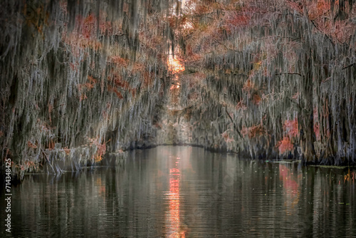 Caddo Lake in Texas during the Autumn season with the Cypress trees changing colors.