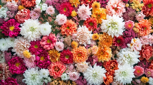 Colorful flower wall background