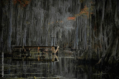 Caddo Lake in Texas during the Autumn season with the Cypress trees changing colors.