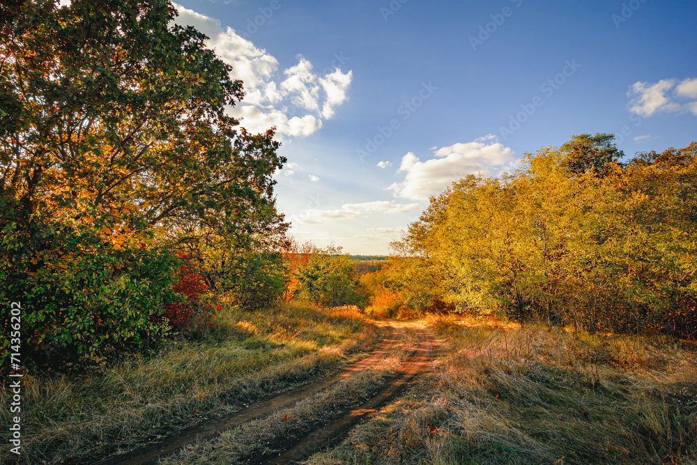 Country Lane Lined with Verdant Bushes and Trees, Autumnal Landscape Under Blue Sky, White Clouds, and Orange Sun at Dusk Country Lane Lined with Verdant Bushes and Trees, Autumnal Landscape Under Blue Sky, White Clouds, and Orange Sun at Dusk