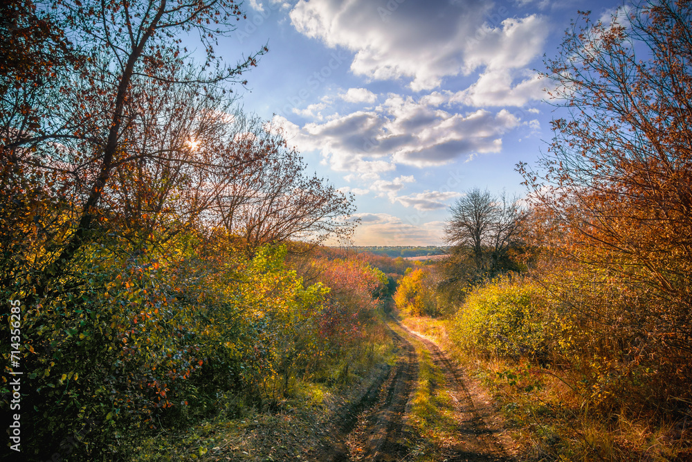 Rustic Road Flanked by Greenery, Autumn Landscape with Blue Sky, White Clouds, and Orange Sun Setting During Dusk Rustic Road Flanked by Greenery, Autumn Landscape with Blue Sky, White Clouds, and Orange Sun Setting During Dusk