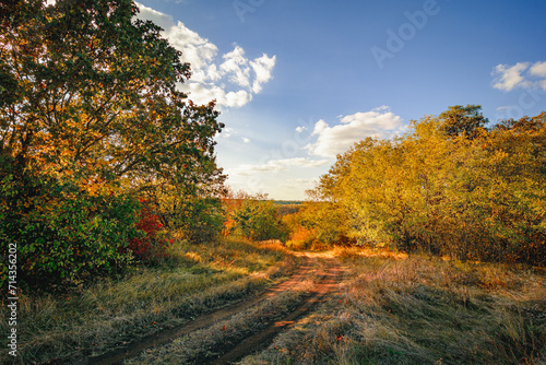 Country Lane Lined with Verdant Bushes and Trees, Autumnal Landscape Under Blue Sky, White Clouds, and Orange Sun at Dusk