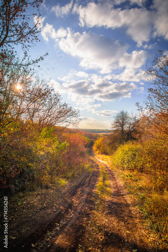 Path Through the Countryside Amidst Green Bushes and Trees, Autumnal View with Blue Sky, White Clouds, and Orange Sun Setting in the Background