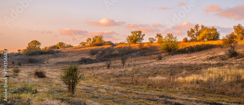 A panorama of a green-yellow field with overgrown dirt road and small chaotic trees, behind which are various hills with vegetation, against the backdrop of a bright orange sunset sky with clouds.