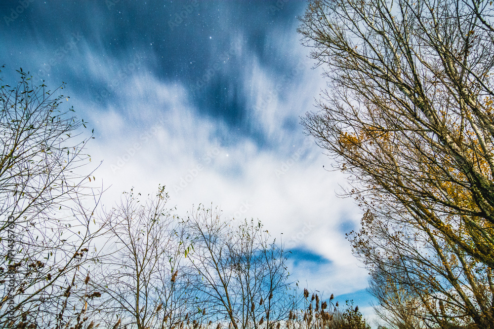 Dark blue sky with a bright moon and blurred white clouds illuminated by the moonlight, with bare tree branches in the foreground Dark blue sky with a bright moon and blurred white clouds illuminated by the moonlight, with bare tree branches in the foreground