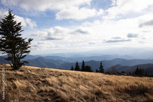 View from Roan Mountain on the North Carolina Tennessee Border photo