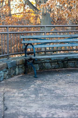 Bench in the Park