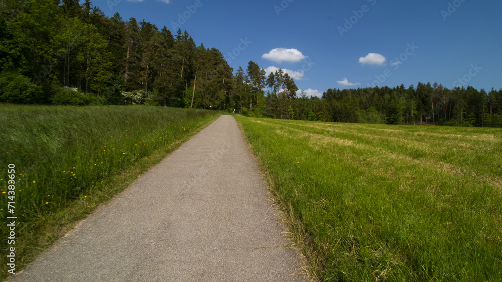 Serene Countryside Path Leading Through Lush Green Fields on a Sunny Day